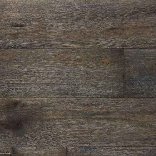 Medallion Collection