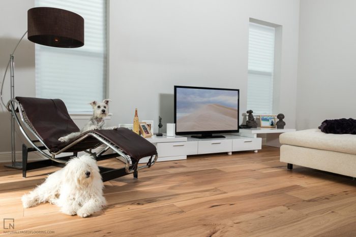 hardwood floor in bedroom with bed, lounge chair, lamp, TV and large white fluffy dog