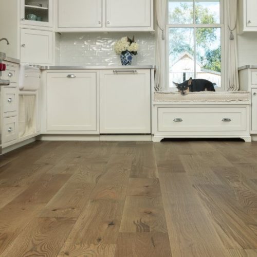 hardwood flooring in white kitchen with cabinets and a black dog sleeping on a bench by a window