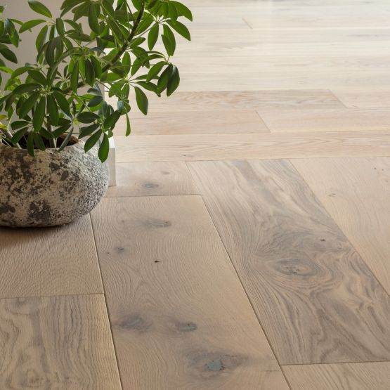 hardwood flooring with a potted plant