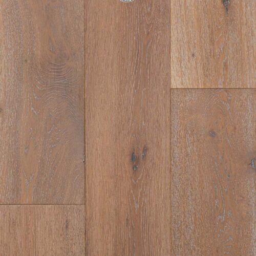 Sample image of Old World Collection - Falcon - PRO639