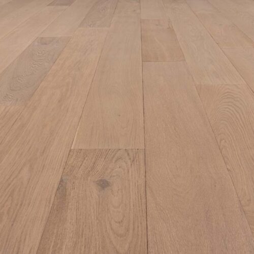 Sample image of Volterra Collection - Valori - PRO2819