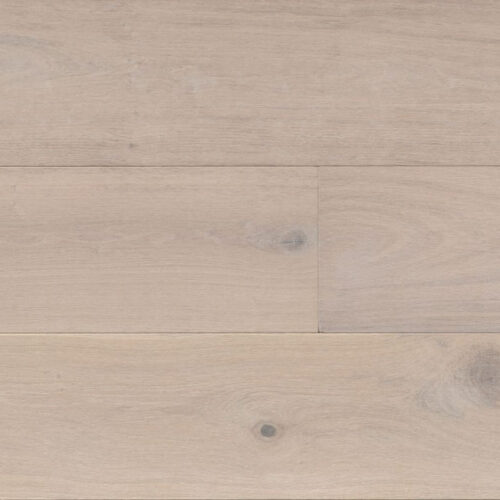 Cambridge Collection