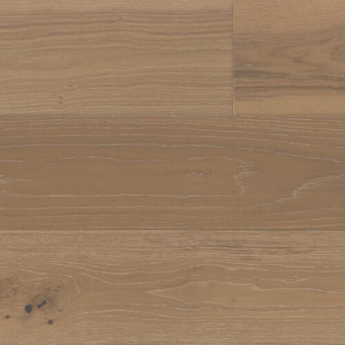 Cambridge Collection - Newton - M176075