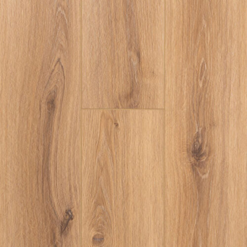 Provenza Floors - Moda Living Collection - Star Struck - PRO2625