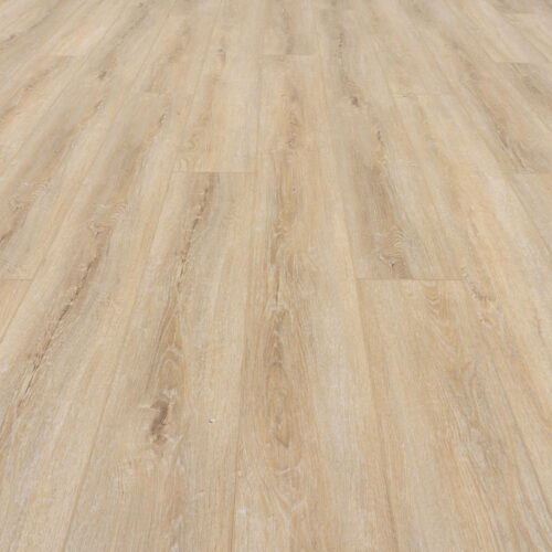 Provenza Floors - Moda Living Collection - Wild Applause - PRO2628