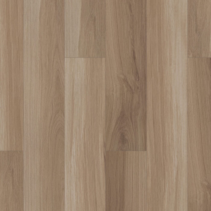 Flooring Sample Of Shaw Floors Paladin Plus Almond Oak 0278V-00154