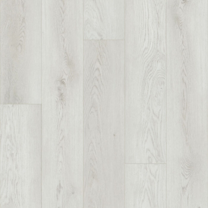 Flooring Sample Of Shaw Floors Paladin Plus Feather Grey 0278V-01178