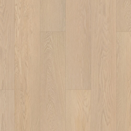 Flooring Sample Of Shaw Floors Paladin Plus Oceanfront 0278V-02012