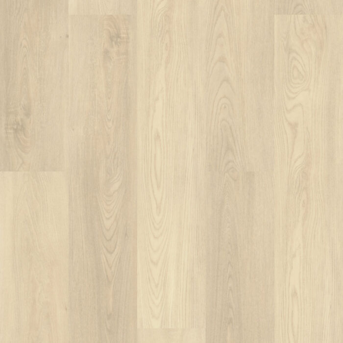 Flooring Sample Of Shaw Floors Paladin Plus Silver Dollar 0278V-01055