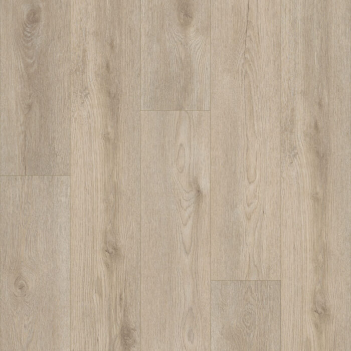 Flooring Sample Of Shaw Floors Paladin Plus Soft Beige 0278V-02094
