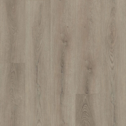 Flooring Sample Of Shaw Floors Paladin Plus Toasted Taupe 0278V-05218