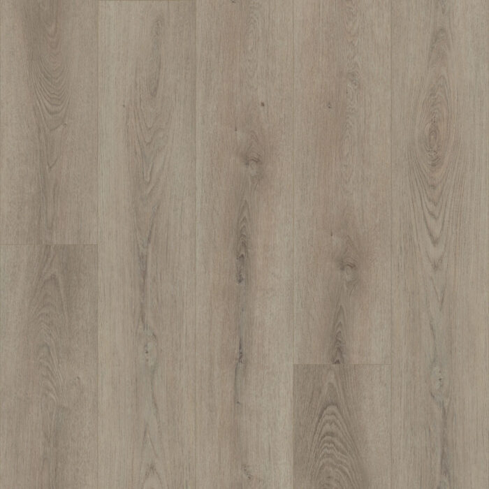 Flooring Sample Of Shaw Floors Paladin Plus Toasted Taupe 0278V-05218