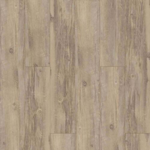 Flooring Sample Of Shaw Floors Valore Plus Plank - Roma 2545V-00507