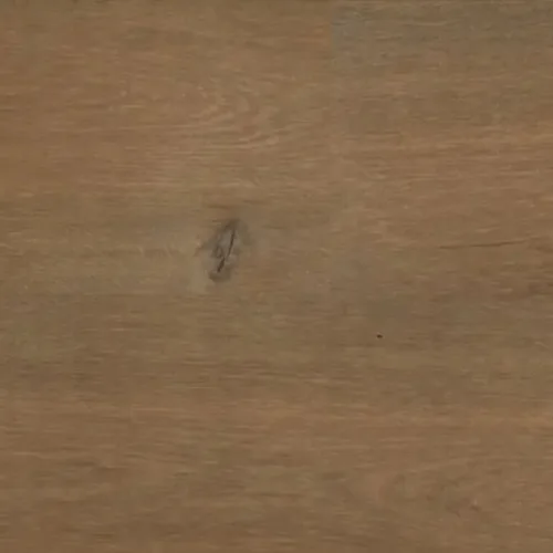 Flooring swatch of Fuzion Homestead Collection - Buck HSO240BUK