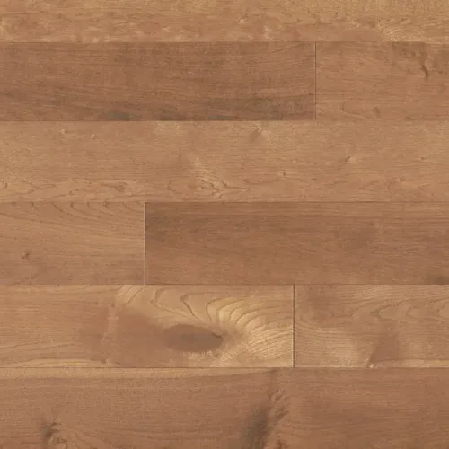 Flooring swatch of Fuzion Summit Ridge Collection - Gaston SROAK165GAS