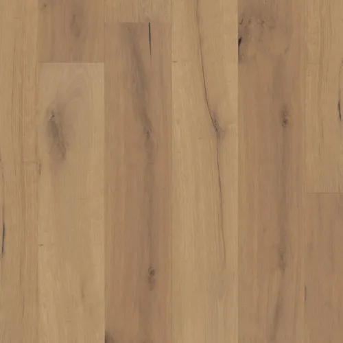 Flooring image of Anderson Tuftex - Artisan Oak Collection - Bristle - AA860-11114