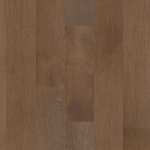Flooring image of Anderson Tuftex - Brasilia Collection - Argan - AA851-07216