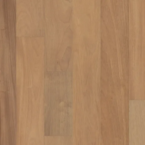 Flooring image of Anderson Tuftex - Brasilia Collection - Samba - AA851-02082