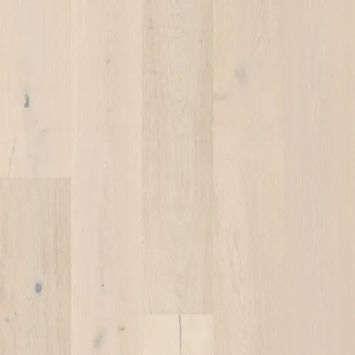 Flooring image of Anderson Tuftex - Grand Estate Collection - Ashton Court - AA829-11056