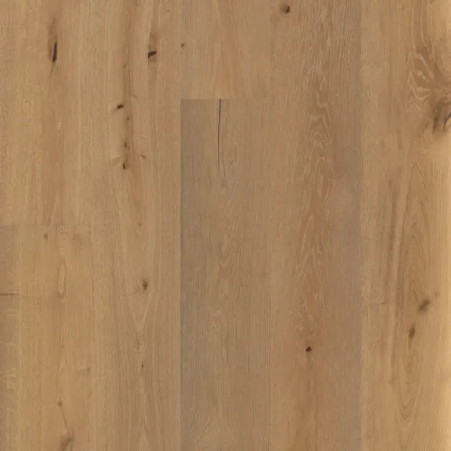 Flooring image of Anderson Tuftex - Grand Estate Collection - Eaton Manor - AA829-11062