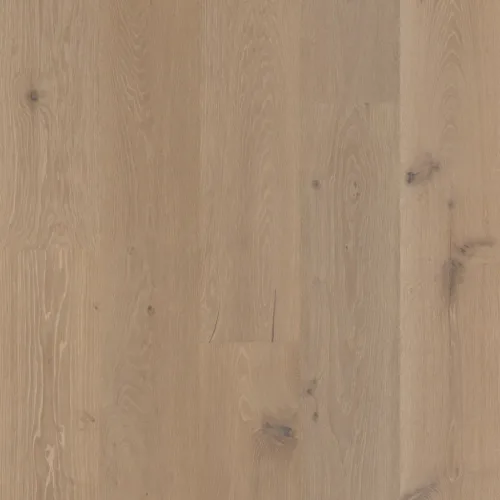 Flooring image of Anderson Tuftex - Grand Estate Collection - Langdon Court - AA829-12015