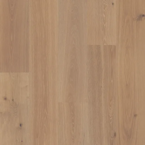 Flooring image of Anderson Tuftex - Grand Estate Collection - Somerton Castle - AA829-11059