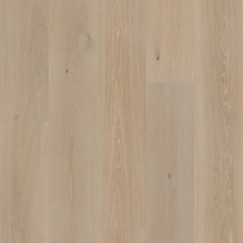 Flooring image of Anderson Tuftex - Grand Estate Collection - Sutton Court - AA829-15032