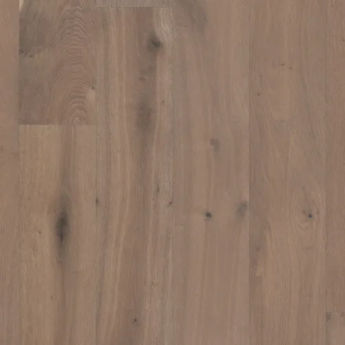 Flooring image of Anderson Tuftex - Metallics II Collection - Platinum - AA848-11099