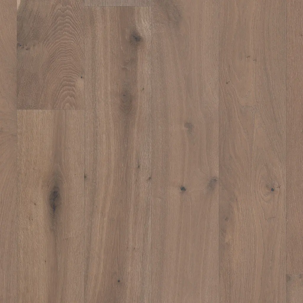 Flooring image of Anderson Tuftex - Metallics II Collection - Platinum - AA848-11099