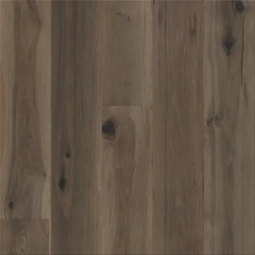 Flooring image of Anderson Tuftex - Transcendence Collection - Elevation - AA806-15036