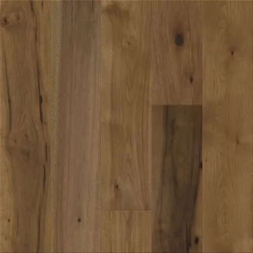 Flooring image of Anderson Tuftex - Transcendence Collection - Inherent - AA806-17055