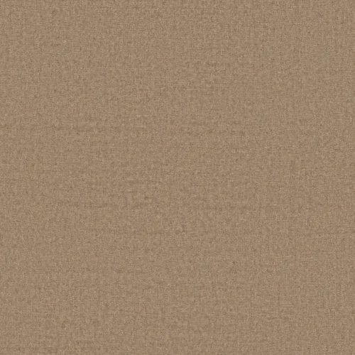 Carpet sample of Anderson Tuftex Finesse Timberline ZZ343_00700