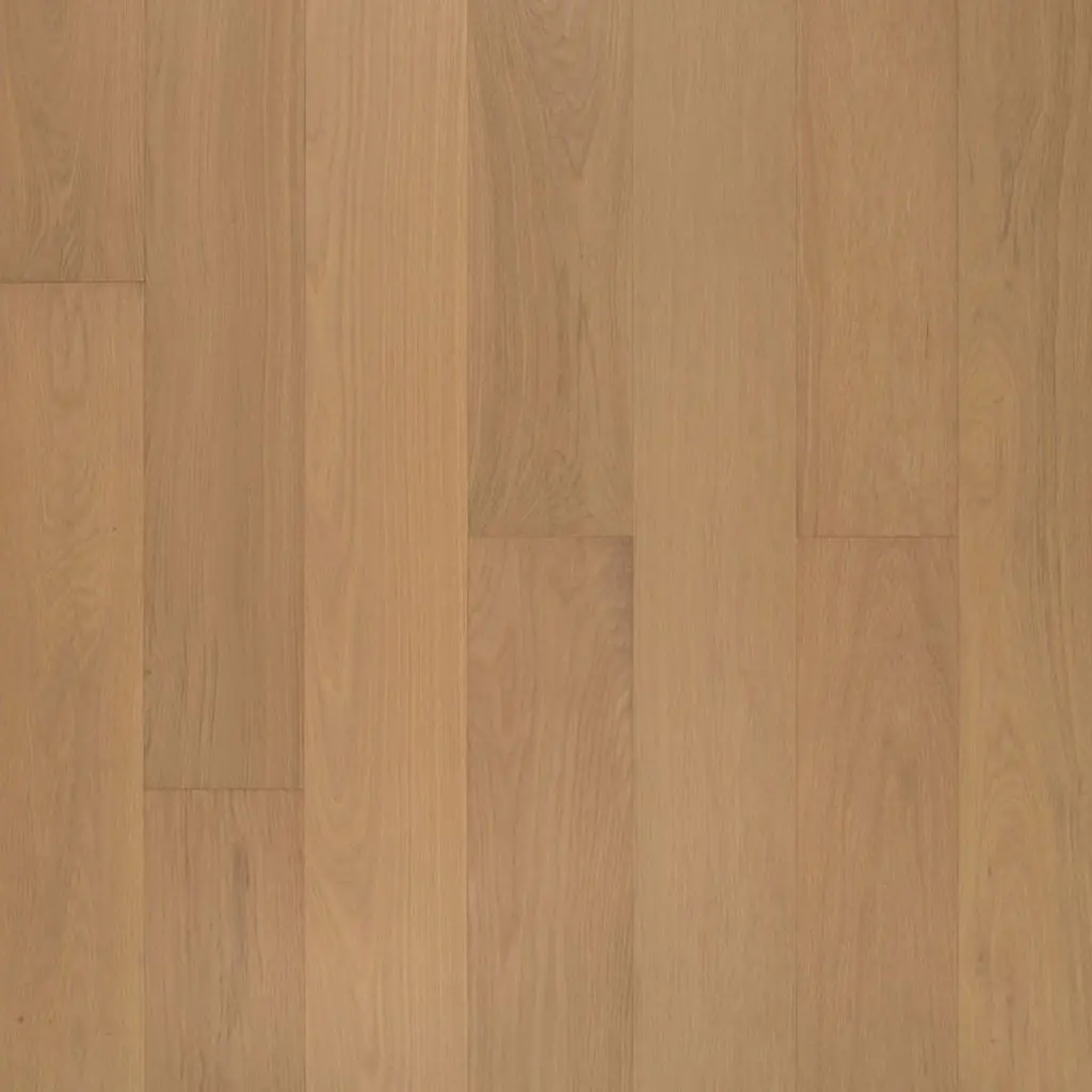 Flooring image of Green World Industries- Bellissimo Collection - Bella