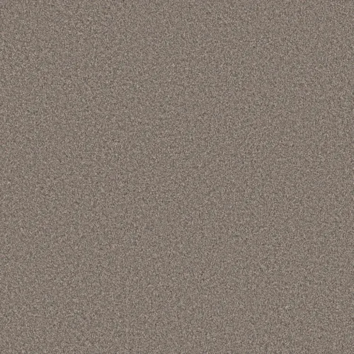 Carpet sample of Shaw Floors Grand Influence I Castle Rock 5E902_00523