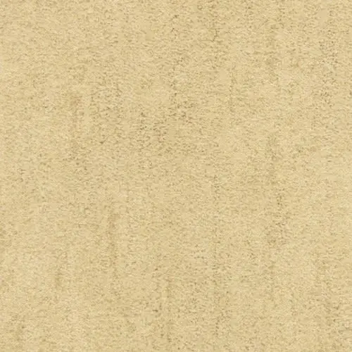Desert Vista